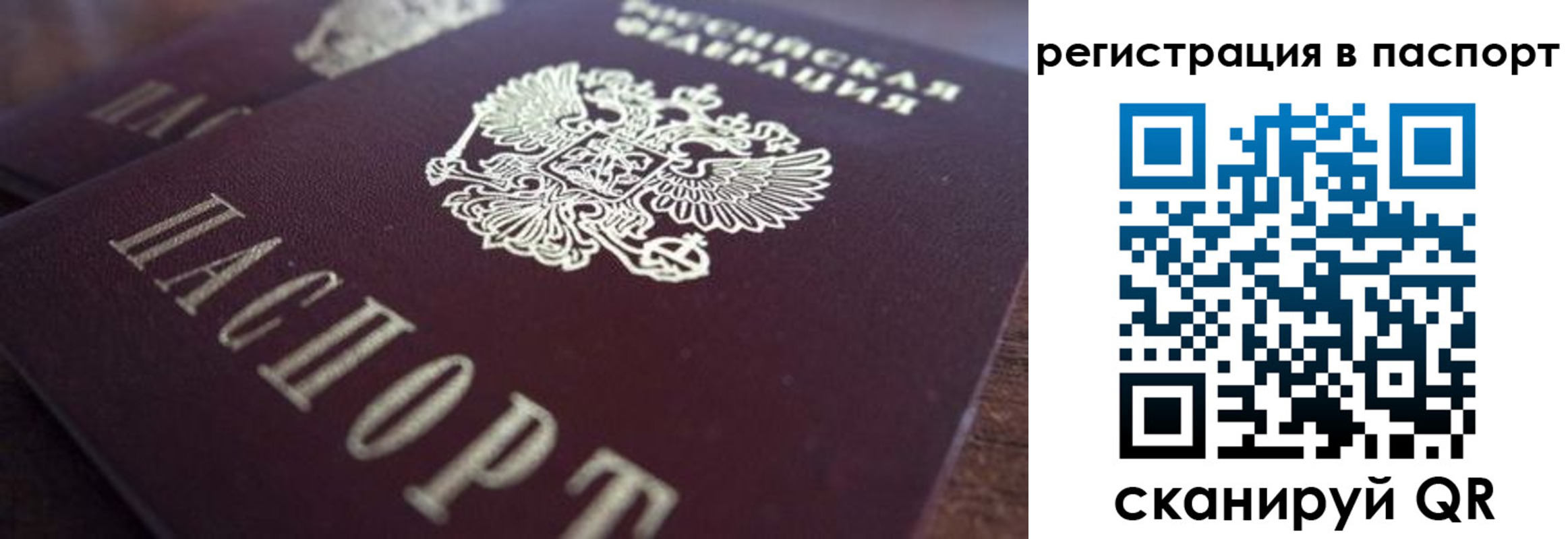 прописка 2025 в Гатчине